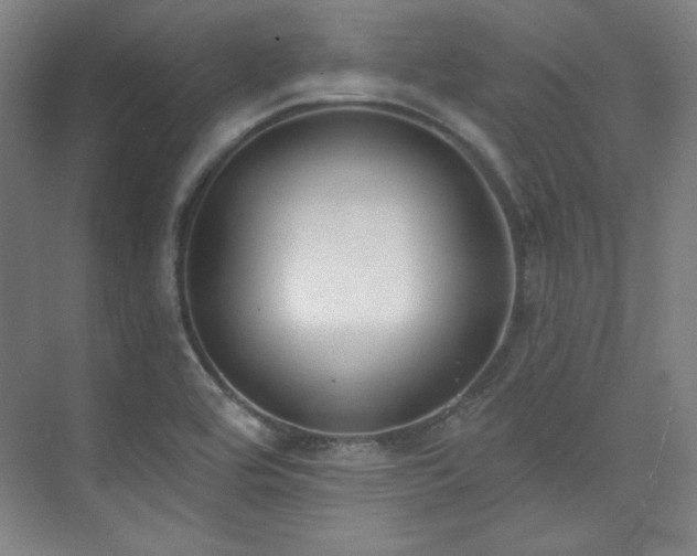 X0000073871464200608101457