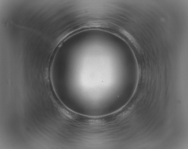 X0000073871465200608101457