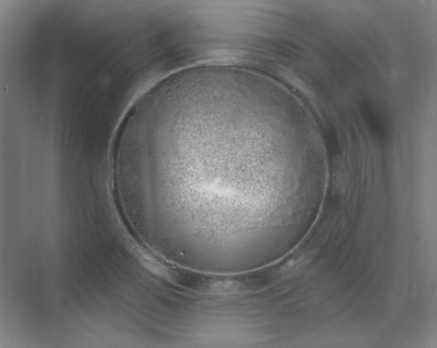 X0000073871467200608101457