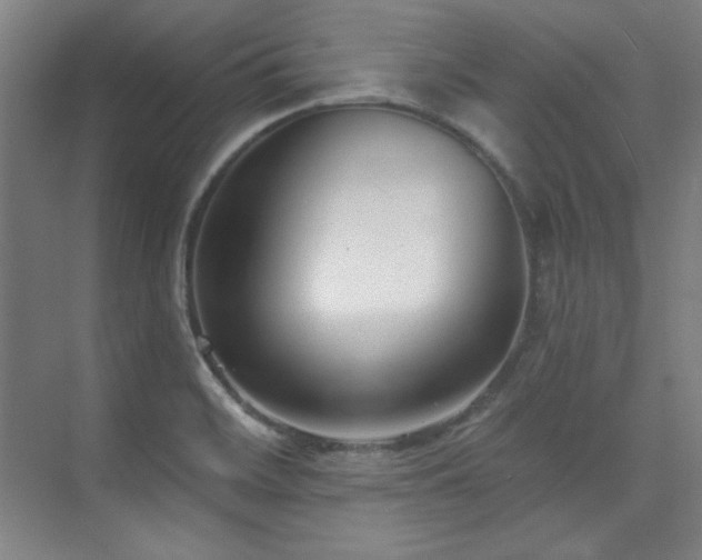 X0000073871468200608101457