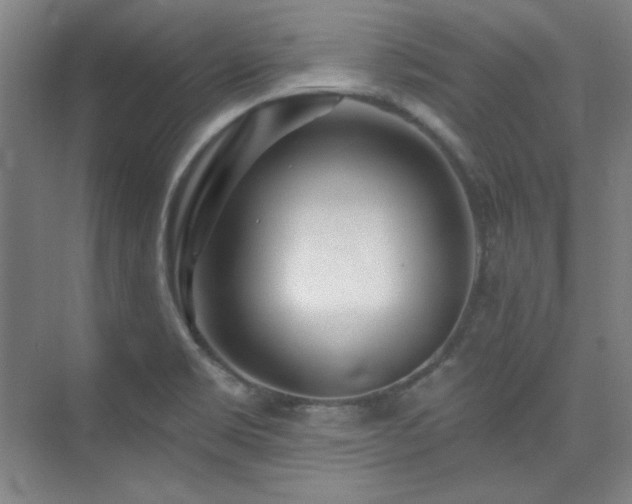 X0000073871469200608101457