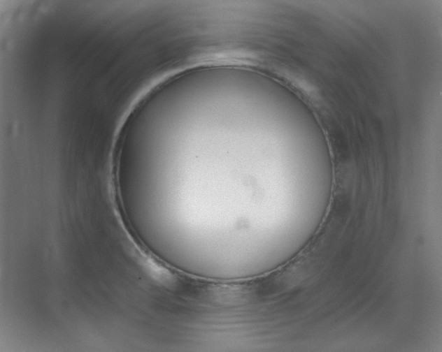 X0000073871470200608101457