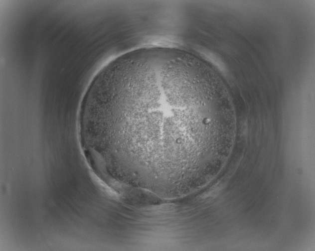 X0000073871471200608101457