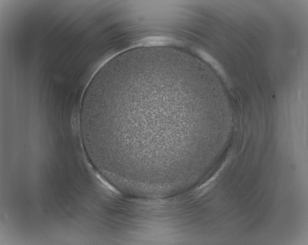 X0000073871473200608101457