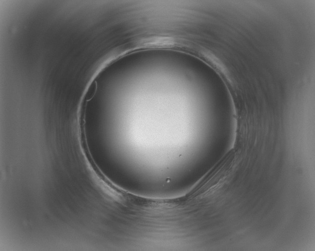 X0000073871475200608101457