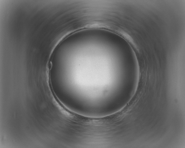 X0000073871476200608101457