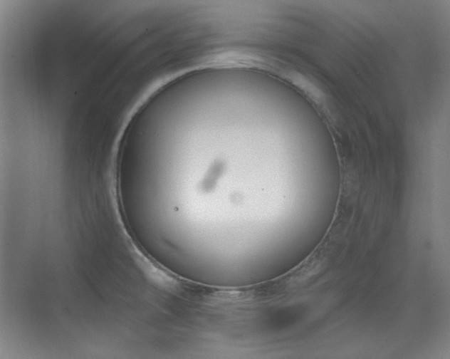 X0000073871478200608101457