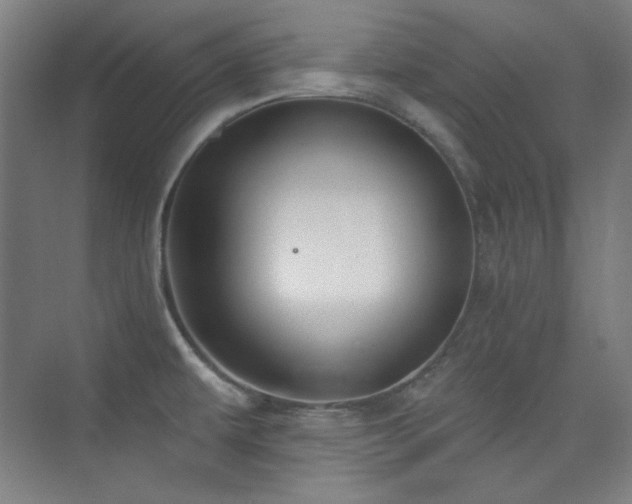 X0000073871479200608101457