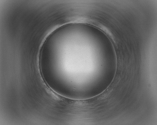 X0000073871480200608101457