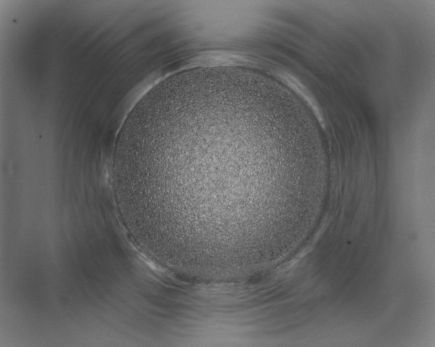 X0000073871481200608101457