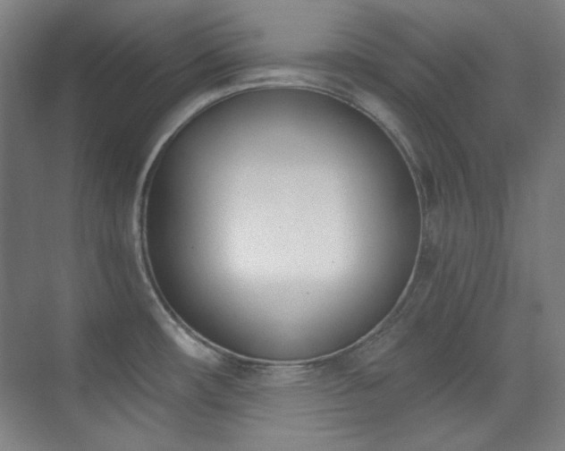 X0000073871482200608101457