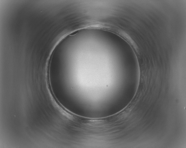 X0000073871483200608101457