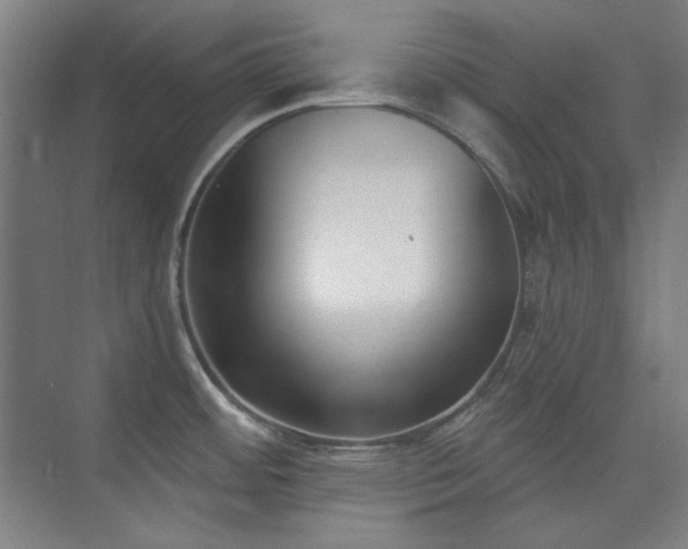 X0000073871484200608101457