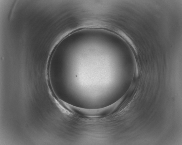 X0000073871485200608101457