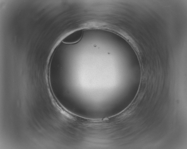 X0000073871486200608101456