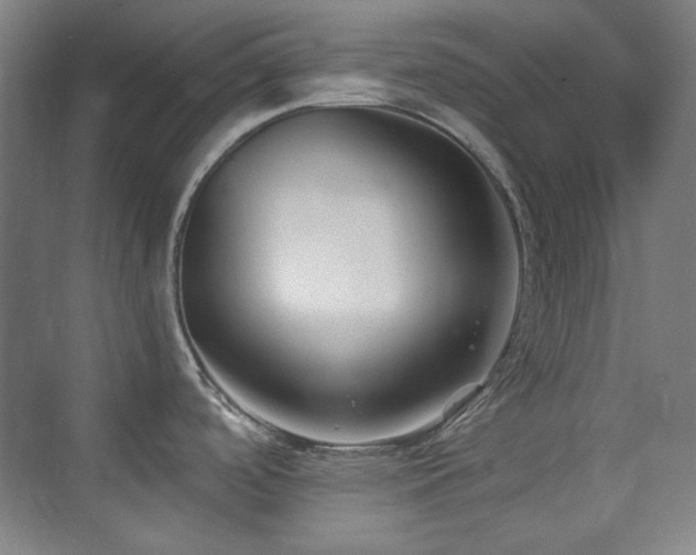 X0000073871488200608101456