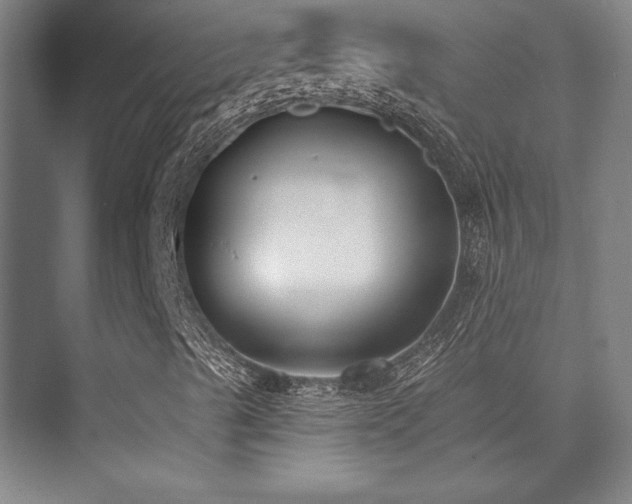 X0000073871489200608101456