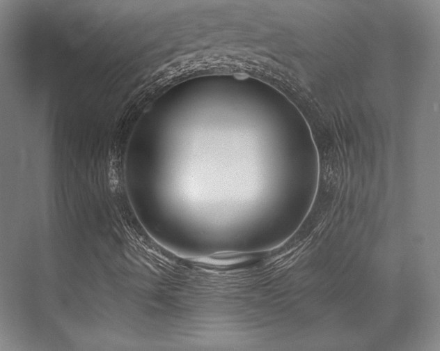 X0000073871490200608101456