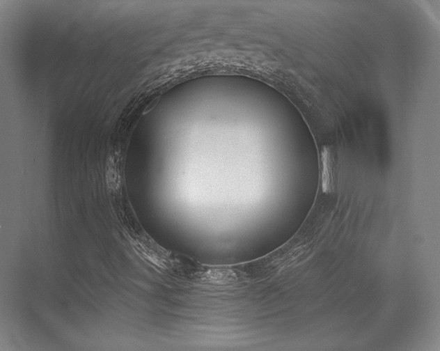 X0000073871491200608101456