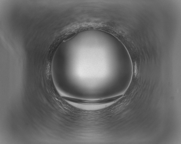 X0000073871492200608101456