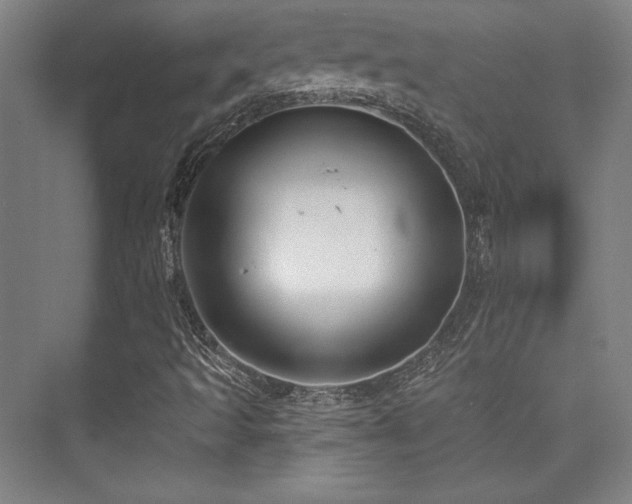 X0000073871493200608101456