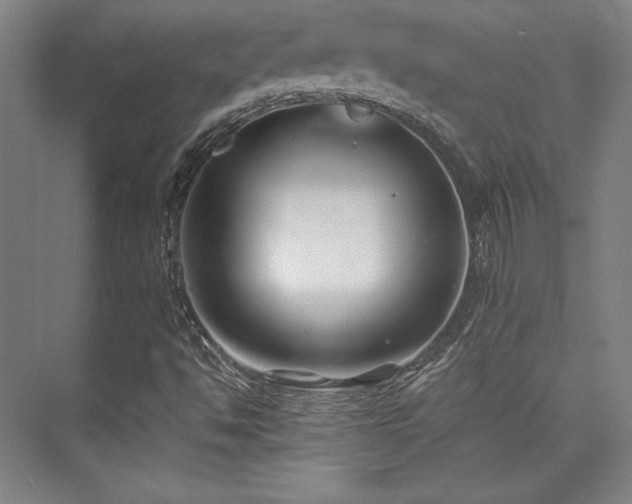 X0000073871494200608101456