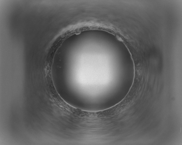 X0000073871495200608101456