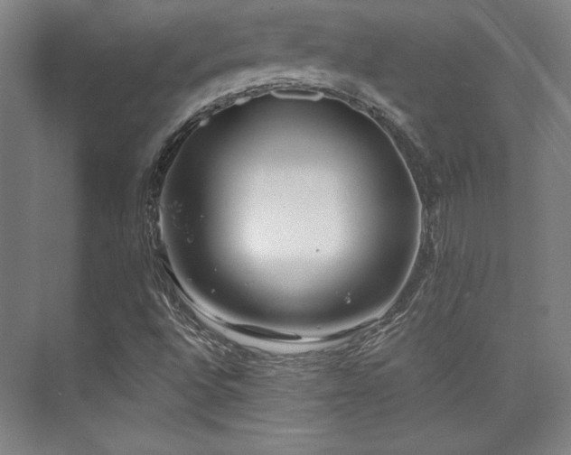 X0000073871496200608101456