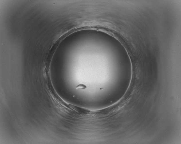 X0000073871497200608101456