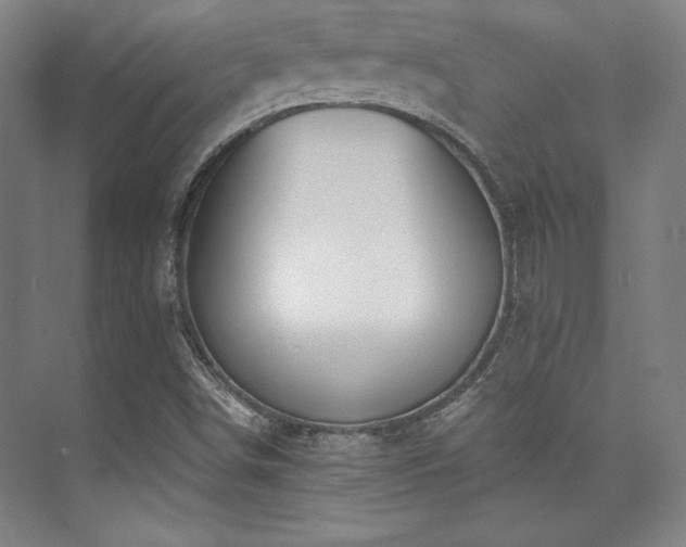 X0000073871498200608101456