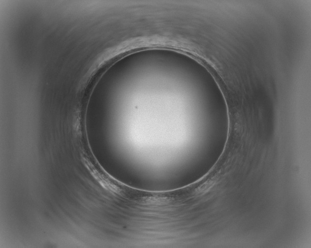 X0000073871499200608101456