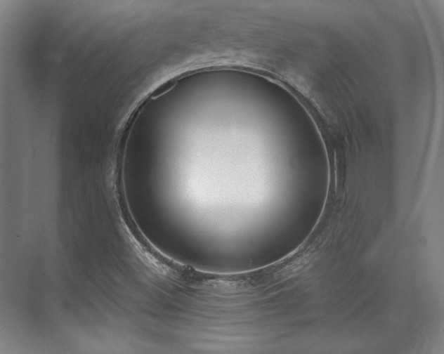 X0000073871500200608101456