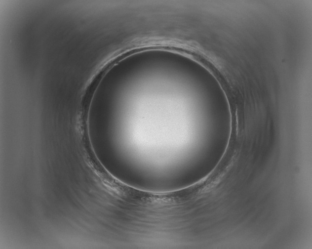 X0000073871501200608101456