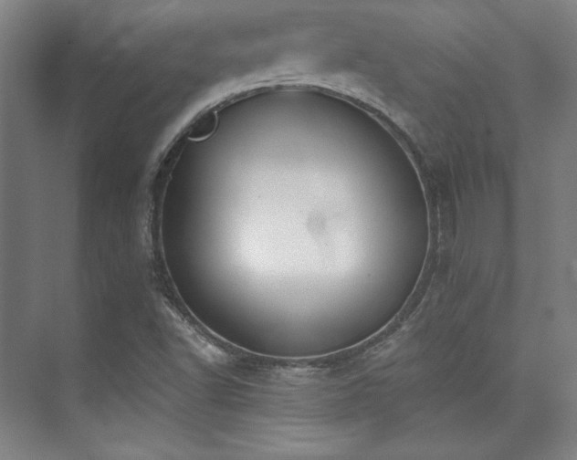 X0000073871502200608101456