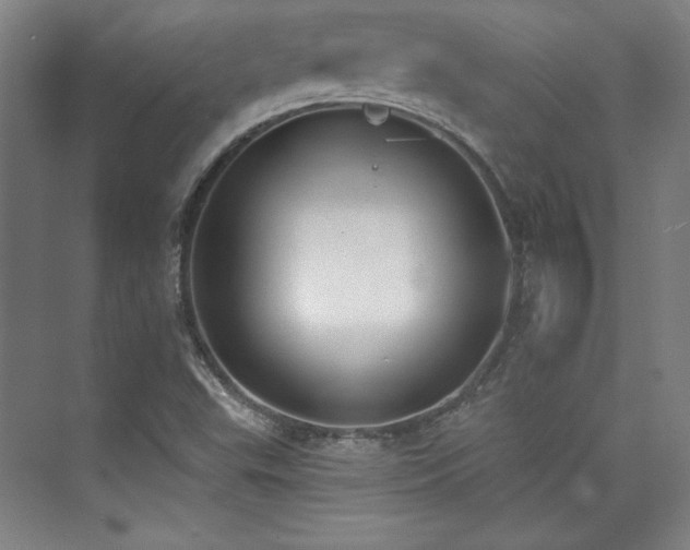 X0000073871503200608101456