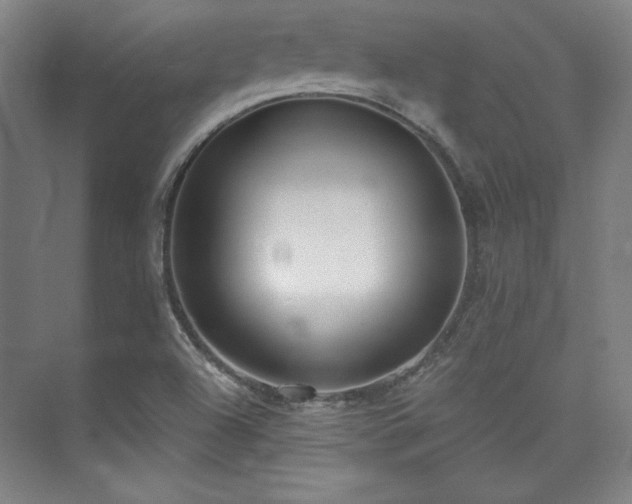 X0000073871504200608101456