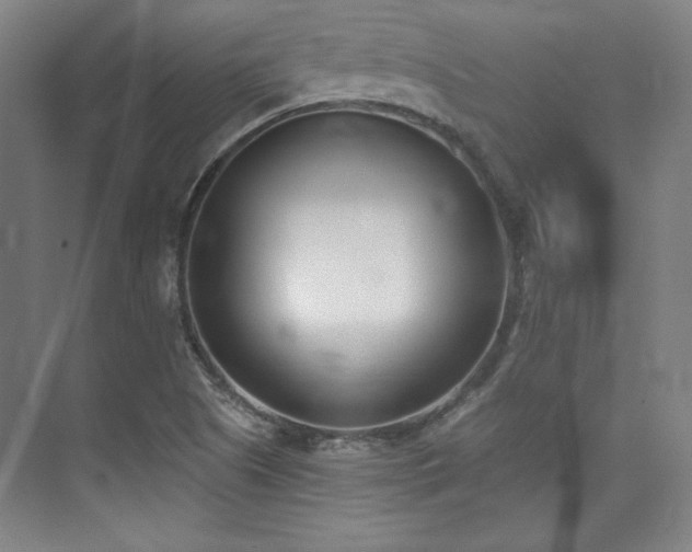 X0000073871505200608101456