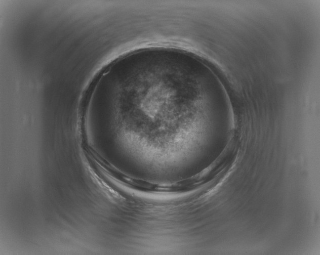 X0000073871506200608101456