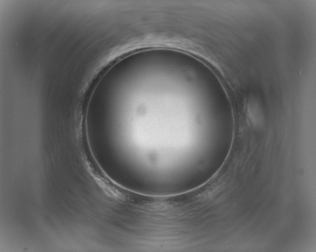 X0000073871507200608101456