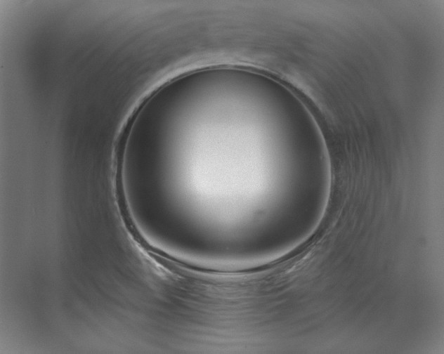 X0000073871508200608101456