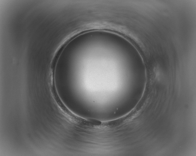 X0000073871509200608101456