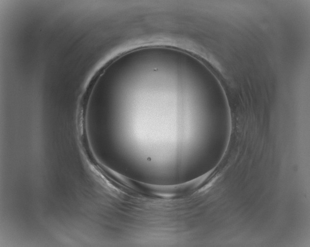 X0000073871510200608101456