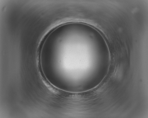 X0000073871511200608101456