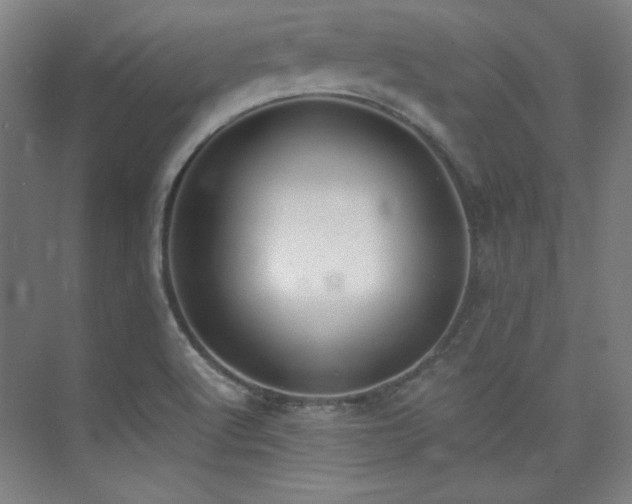 X0000073871512200608101456