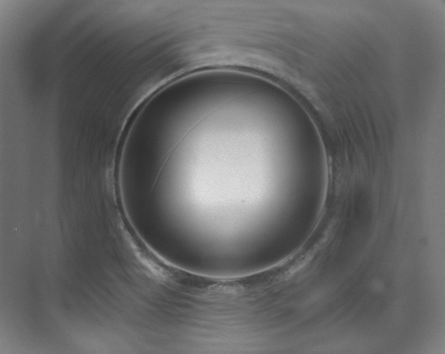 X0000073871513200608101456