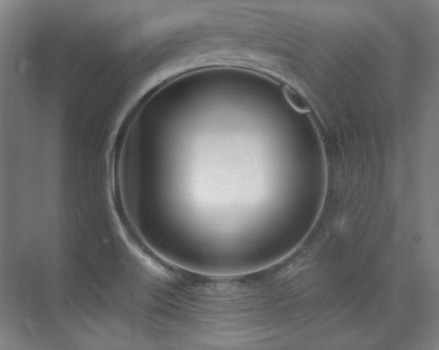 X0000073871515200608101456