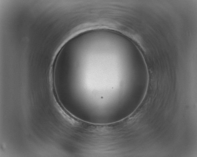 X0000073871516200608101456