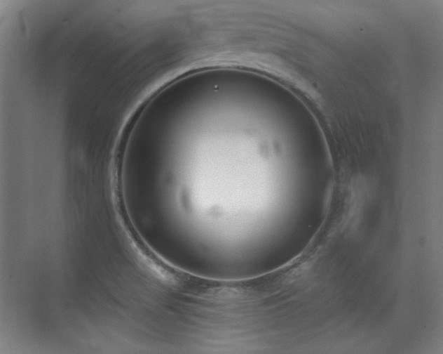 X0000073871517200608101456