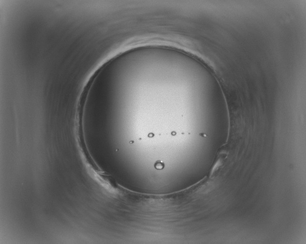 X0000073871518200608101456