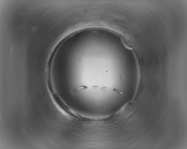 X0000073871519200608101456